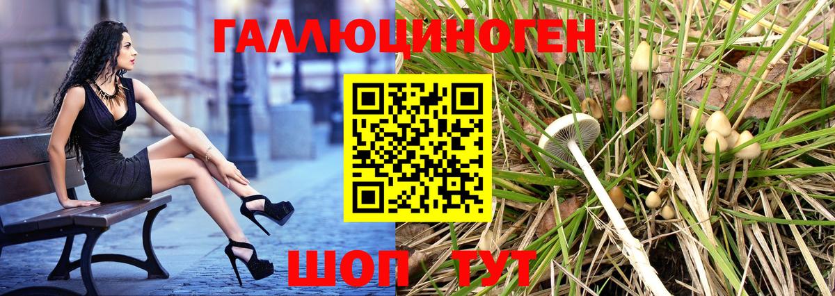 Костомукша  Галлюциногенные грибы Magic Shrooms  Вход с VPN 