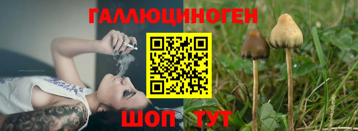 Галлюциногенные грибы Magic Shrooms Костомукша